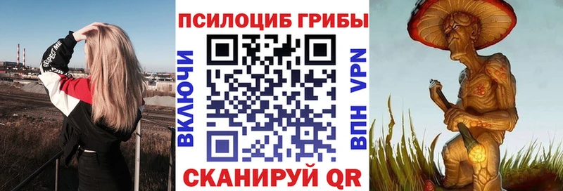 цены   Карасук  Псилоцибиновые грибы Magic Shrooms 